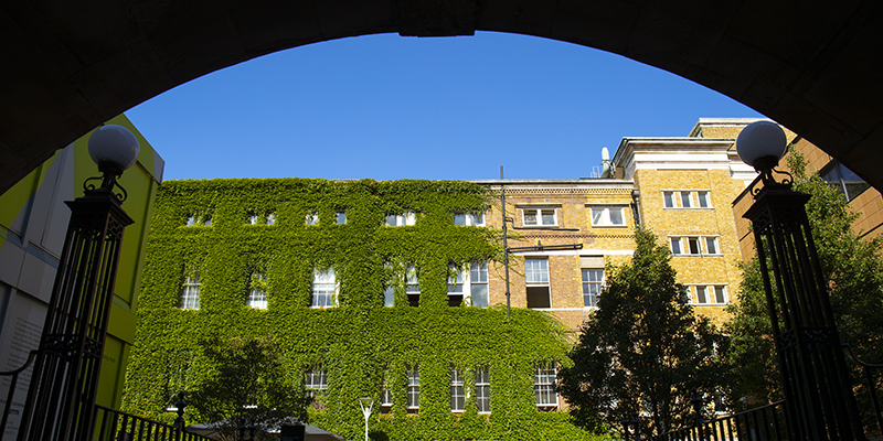 UCL through an arch
